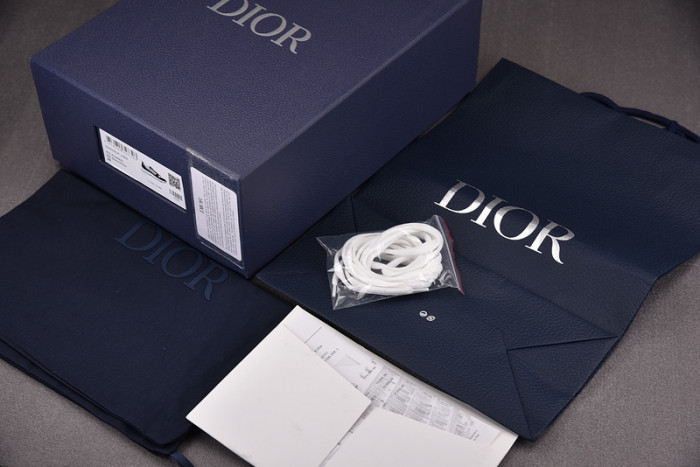 D1OR SNEAKERS B25 T0000-228